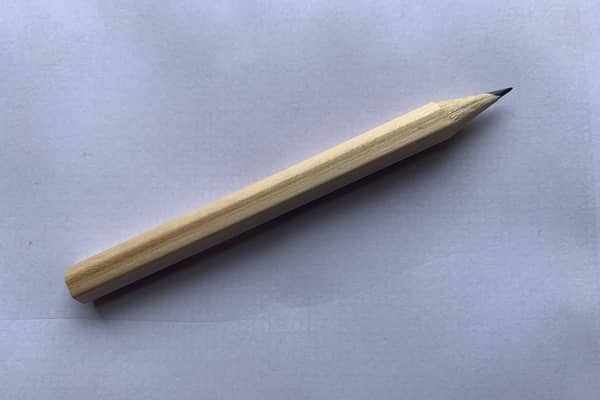 A free pencil for every voter seemed to go down well. So what next? (Picture: Ian Johnston)