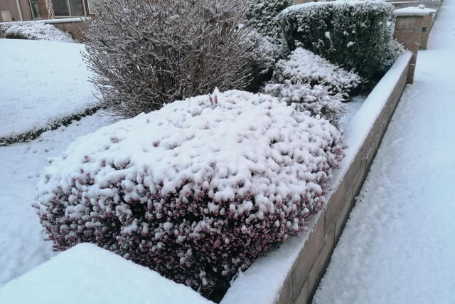 A familiar snow scene which greeted households across Fife this morning