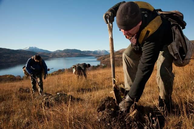 A total of 10,860 hectares of new trees were planted across Scotland in the past year,  slightly short of the target for 12,000 hectares