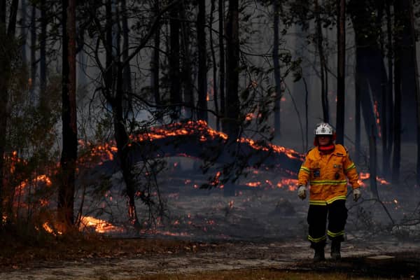 Firefighters battle a bushfire near the town of Sussex Inlet near Sydney, Australia, in December last year (Picture: Sam Mooy/Getty Images)