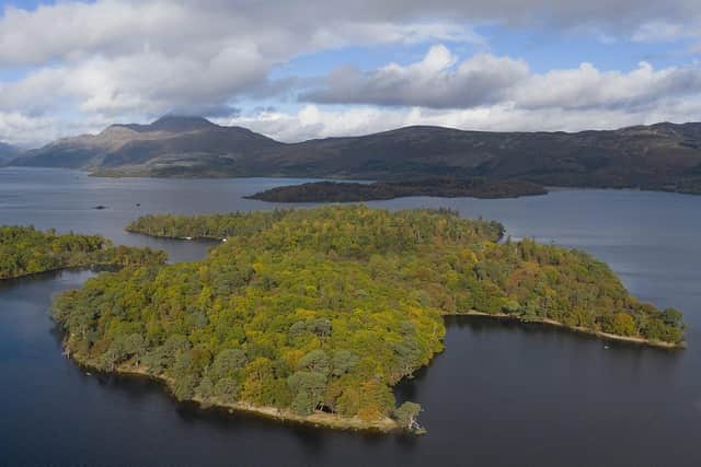 The uninhabited Inchconnachan island, which lies in Loch Lomond, was bought by Scottish broadcaster Kirsty Young and her husband after it was put on sale last year for more than £500,000