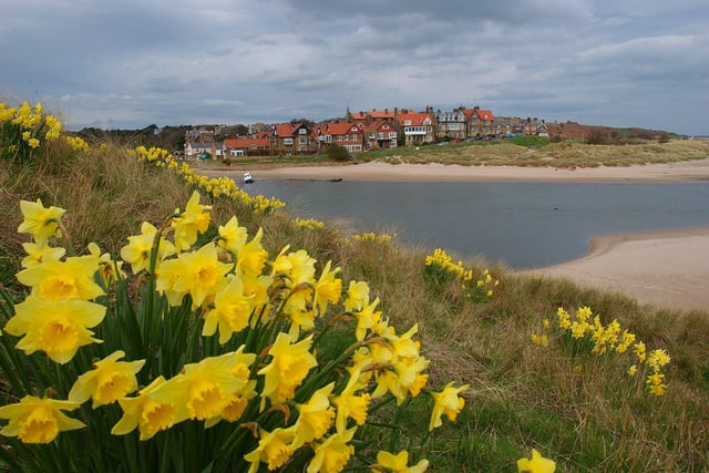 There is great walking territory on both sides of the Aln estuary with the picturesque village of Alnmouth -  featured in The Sunday Times Best Places to Live list - on its north bank where there are a number of lovely pubs and restaurants.