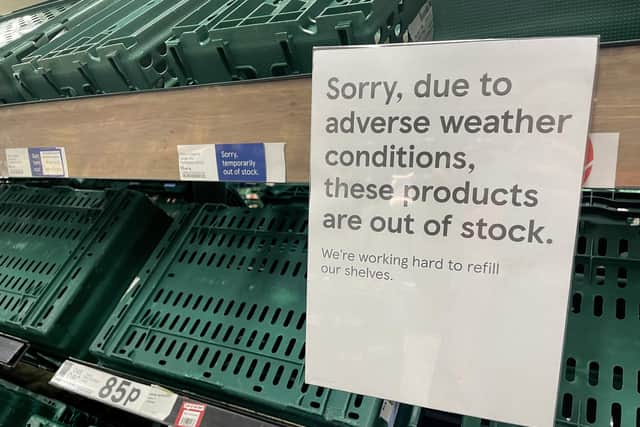 Winter vegetables grown in this country could fill these empty supermarket shelves (Picture: Jane Sherwood/Getty Images)