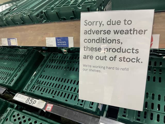 Winter vegetables grown in this country could fill these empty supermarket shelves (Picture: Jane Sherwood/Getty Images)