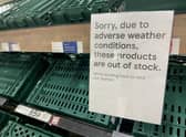 Winter vegetables grown in this country could fill these empty supermarket shelves (Picture: Jane Sherwood/Getty Images)