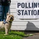 A reader would like to cast a positive vote for once in his life (Picture: Ian Forsyth/Getty Images)