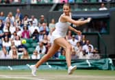 Karolina Pliskova on her way to winning a semi-final slug-fest to reach the women's final