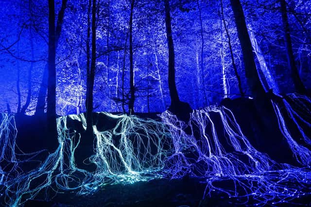 The spectacular Enchanted Forest show has been running at Faskally Wood, Pitlochry since 2002. Picture: Roberto Ricciuti