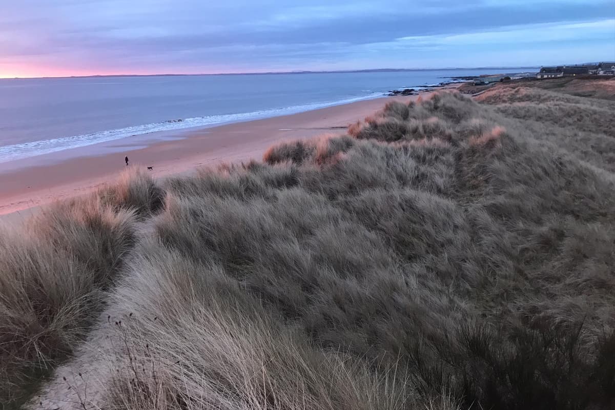 SNP MSP Fergus Ewing urges Scottish Government to approve controversial