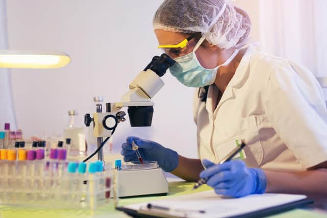 EMS performs microbiological testing services for the food, leisure, agriculture, and pharmaceutical industries (file image). Picture: Getty Images/iStockphoto.