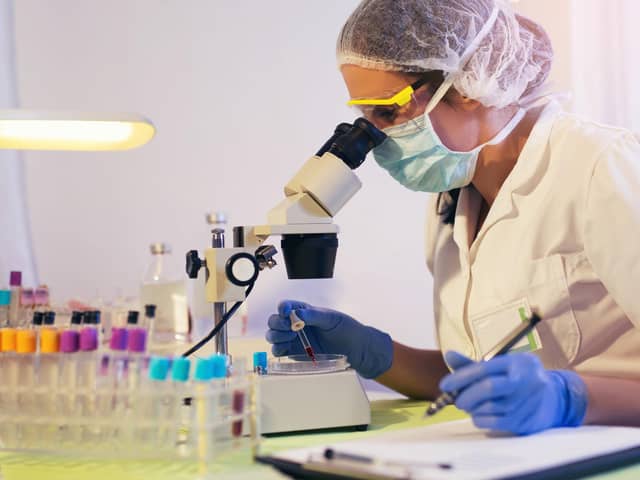 EMS performs microbiological testing services for the food, leisure, agriculture, and pharmaceutical industries (file image). Picture: Getty Images/iStockphoto.