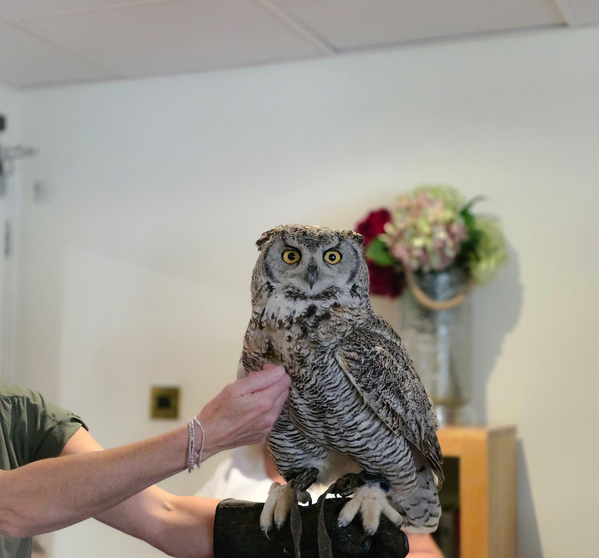 Families and friends holding owls