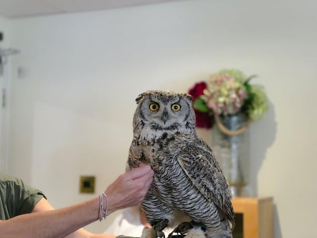 Families and friends holding owls