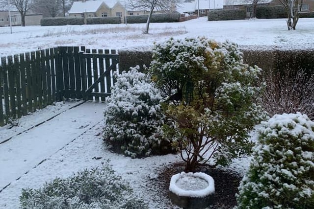 A snowy scene in the gardens at Overton Mains, Kirkcaldy (Pic: Dawn Donaldson)