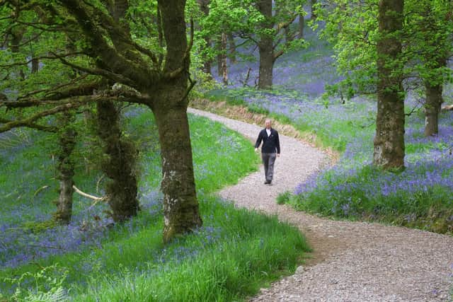 There are many great locations across Scotland to enjoy the dramatic colour and heady scent of the annual spring bloom of native bluebells