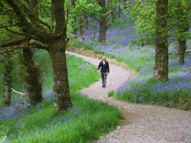 There are many great locations across Scotland to enjoy the dramatic colour and heady scent of the annual spring bloom of native bluebells