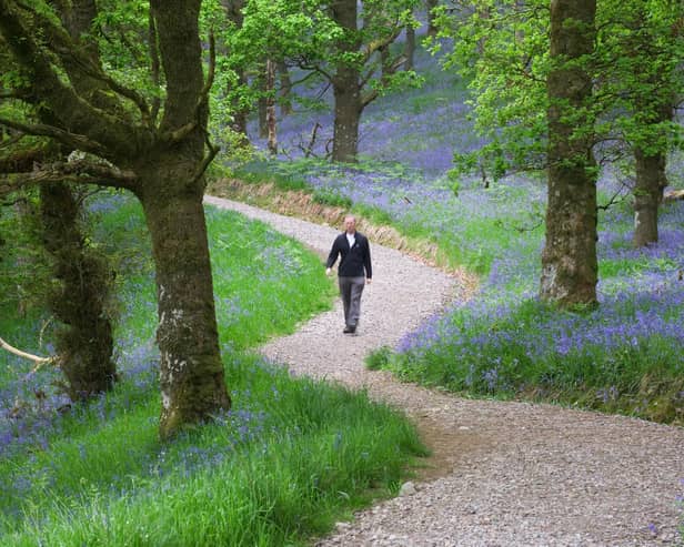 There are many great locations across Scotland to enjoy the dramatic colour and heady scent of the annual spring bloom of native bluebells