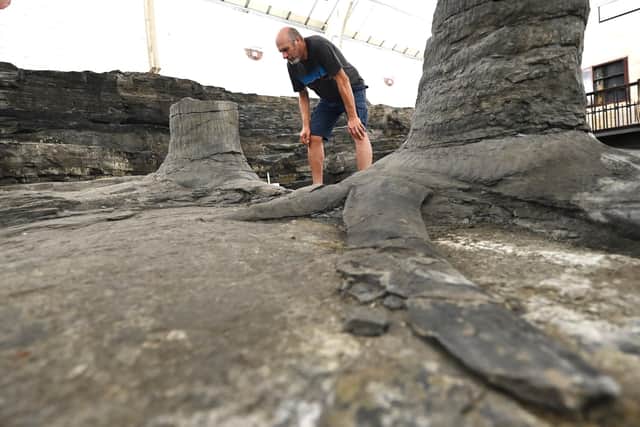 Salty deposits created by water dripping from the roof are now coating the fossils, putting them at risk. PIC: John Devlin.