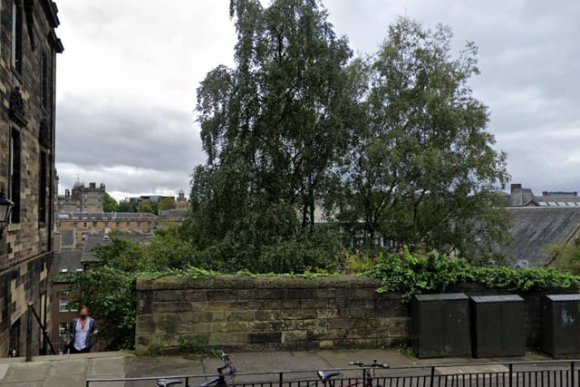 Small, but perfectly-formed, the Johnston Terrace Wildlife Reserve is right in the middle of Edinburgh's Old Town, hidden down a lane in the shadow of Edinburgh Castle. You'll feel like you're a million miles away from the busy city centre as you walk through woodland to a stunning wildflower meadow and panoramic views of the city.