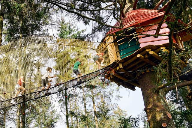 A tree climbing canopy at WOW Park. Pic: PA Photo/WOW Park.
