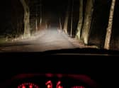 Deer-related accidents have soared.