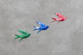 Lucky Swallows