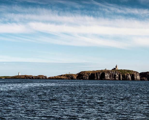 The Isle of May National Nature Reserve in the Firth Of Forth (Photo by ANDY BUCHANAN/AFP via Getty Images)