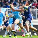 Glasgow Warriors captain Kyle Steyn, who scored two second-half tries, on the attack in the 40-9 victory over Zebre Parma in the BKT United Rugby Championship at Stadio Sergio Lanfranchi.  (Photo by Luca Sighniolfi/INPHO/Shutterstock)