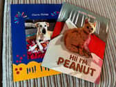 Claire has been inspired to write two children's books by the experience - Animal News Agency