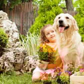 A few simple tips can create a safe and happy outdoor space for your dog.