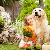 A few simple tips can create a safe and happy outdoor space for your dog.