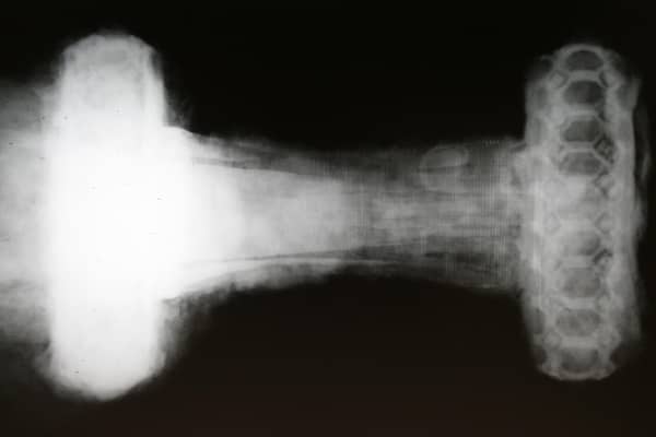 The sword likely dates from the 9th Century with the iron heavily corroded. It was probably highly decorated with many of the details only visible through x-ray. PIC: HES/AOC Archaeology.