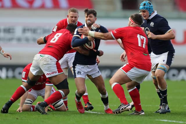 Adam Hastings was injured in Scotland's win over Wales and is a doubt for the Autumn Nations Cup.