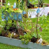 Bun Sgoil Stafainn of Portree's 'Wetlands of Wonder' was awarded the prize for Best Garden in the One Planet Picnic theme in 2019