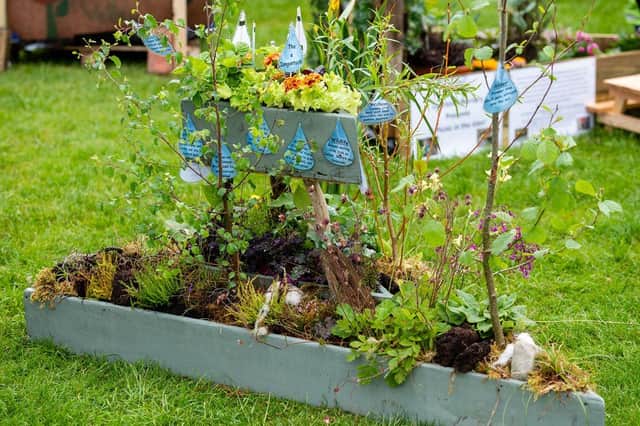 Bun Sgoil Stafainn of Portree's 'Wetlands of Wonder' was awarded the prize for Best Garden in the One Planet Picnic theme in 2019