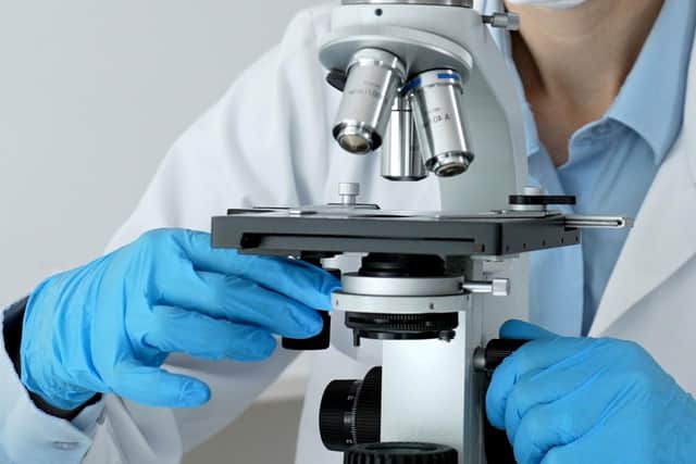 ​Scotland is home to world-class research and a growing community of innovative businesses (Picture: stock.adobe.com)