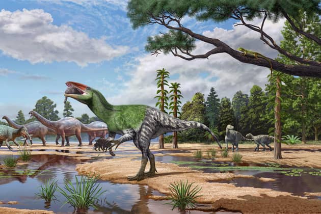 Artist impression issued by University College London (UCL) of theropod dinosaur, Invictibellatrix amberina.