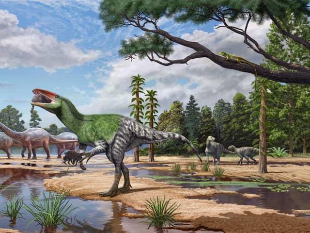 Artist impression issued by University College London (UCL) of theropod dinosaur, Invictibellatrix amberina.