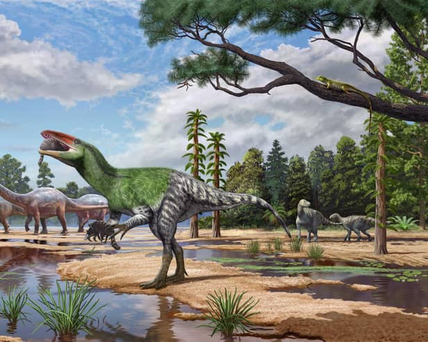 Artist impression issued by University College London (UCL) of theropod dinosaur, Invictibellatrix amberina.