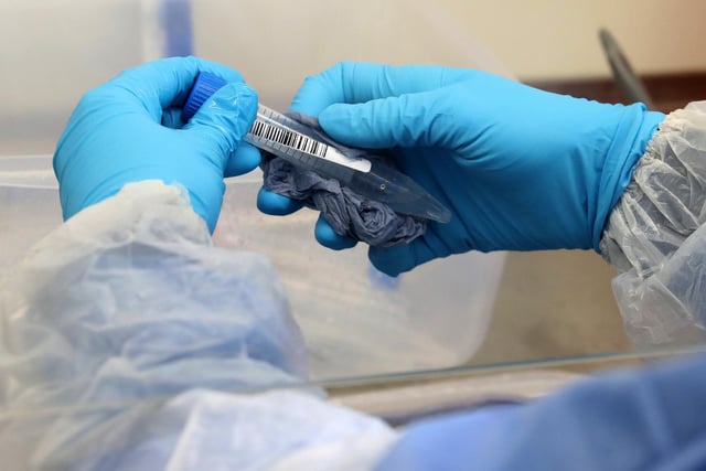 These are the 12 areas in Scotland with the most new coronavirus cases between January 17 and January 23