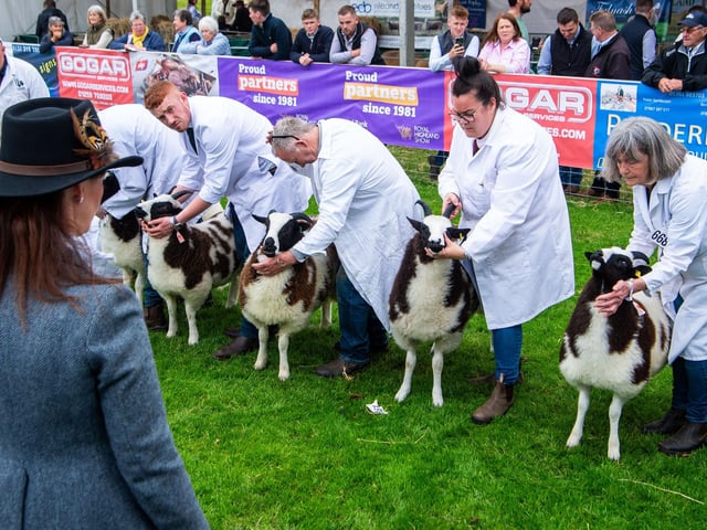 The Royal Highland Show Day 1
