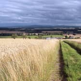 Campaigners have hit back at the Scottish Government's funding cuts to the agricultural budget (pic: David Cheskin)