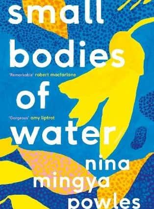 Small Bodies of Water, by Nina Mingya Powles