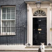 Eight names will go forward in the battle to be the next prime minister
