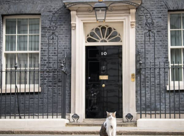 Eight names will go forward in the battle to be the next prime minister