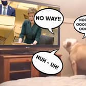 Return to work - How to help with your dogs anxiety