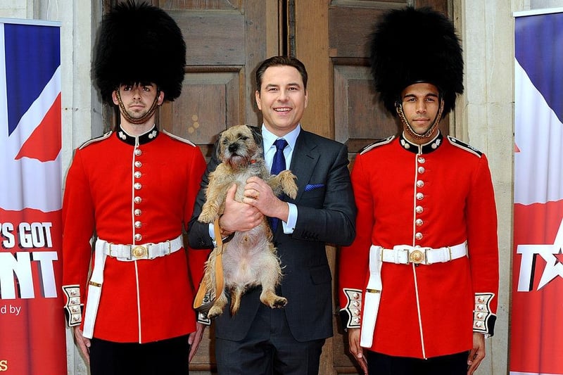 Multi-talented Britain's Got Talent judge, children's book author and comedian David Walliams is another famous dog owner - and would be a safe pair of hands for your pooch.