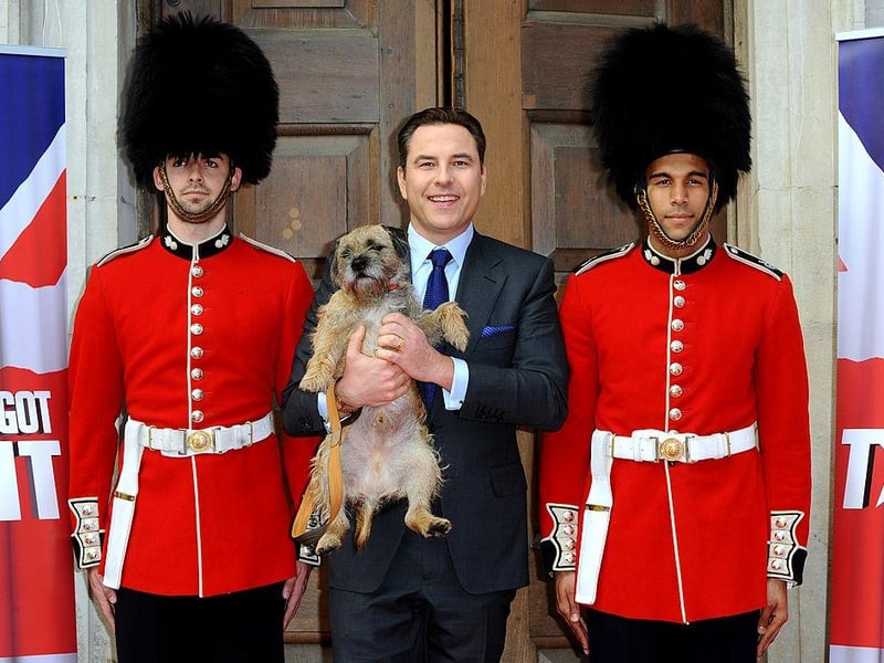 Multi-talented Britain's Got Talent judge, children's book author and comedian David Walliams is another famous dog owner - and would be a safe pair of hands for your pooch.
