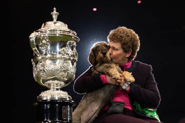 This is who won Crufts Best in Show 2020 (Picture: Leon Neal/Getty Images)