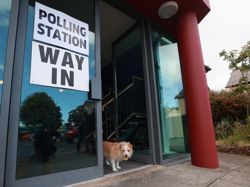 Daisy, the dog of Alliance leader Naomi Long waits as she casts her vote in east Belfast.
